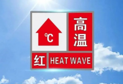 <b>中爵管业高温防暑提醒：守护夏日安全与清凉​</b>