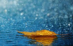 <b>暴雨天气实用应对措施指南​</b>